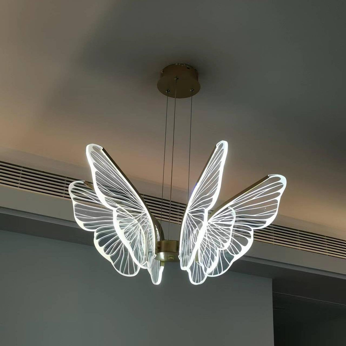 Phalaenopsis Chandelier - view 26
