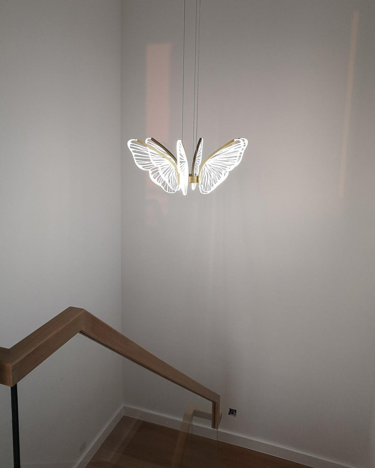 Phalaenopsis Chandelier - view 27