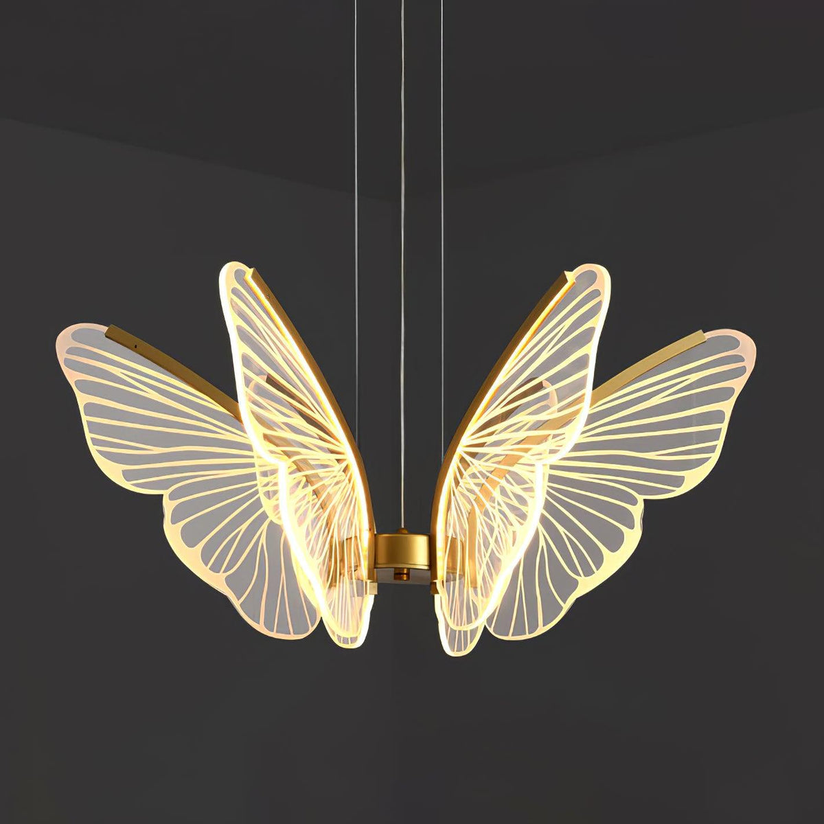 Phalaenopsis Chandelier - view 3