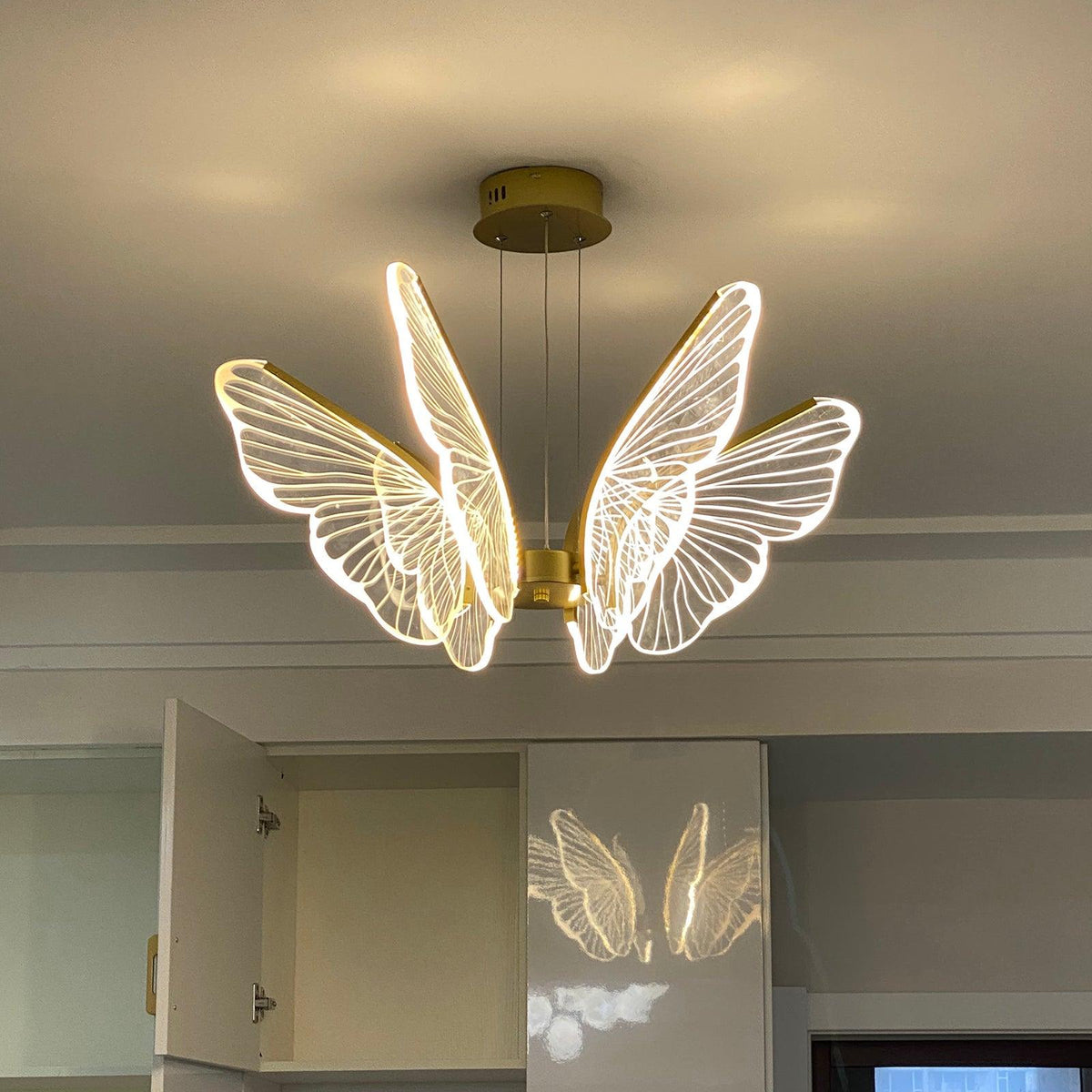 Phalaenopsis Chandelier - view 28