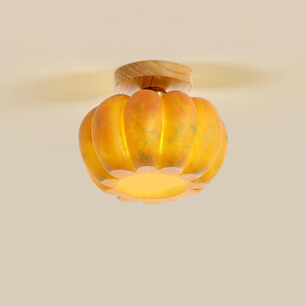 Pumpkin Ceiling Light - view 17