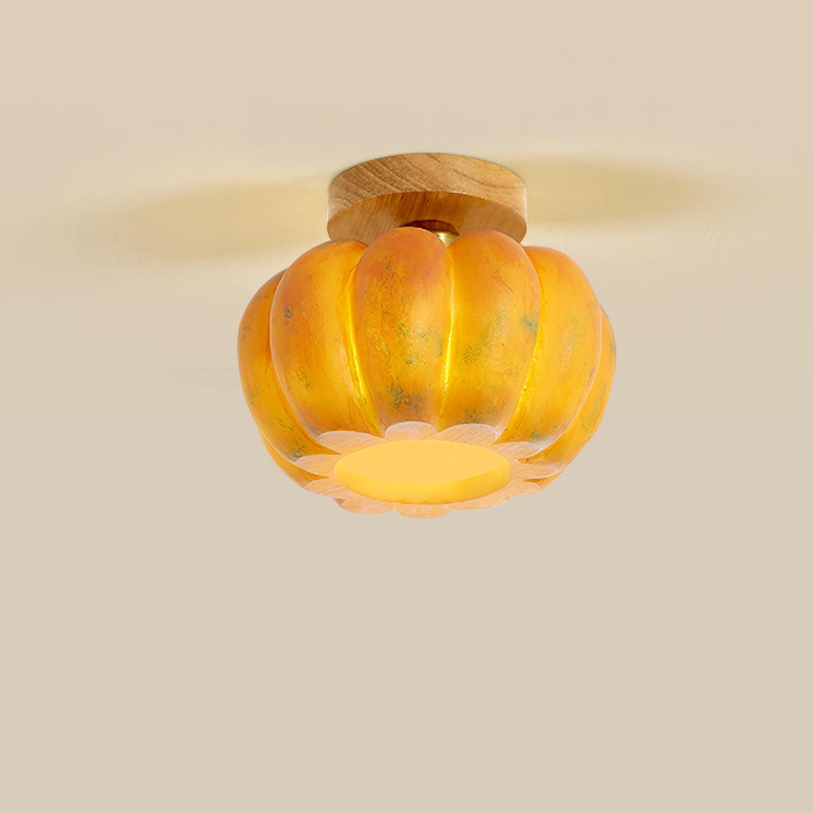 Pumpkin Ceiling Light - view 22