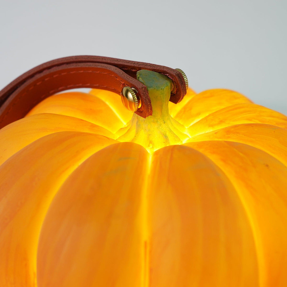 Portable Pumpkin Built-in Battery Table Lamp - view 43