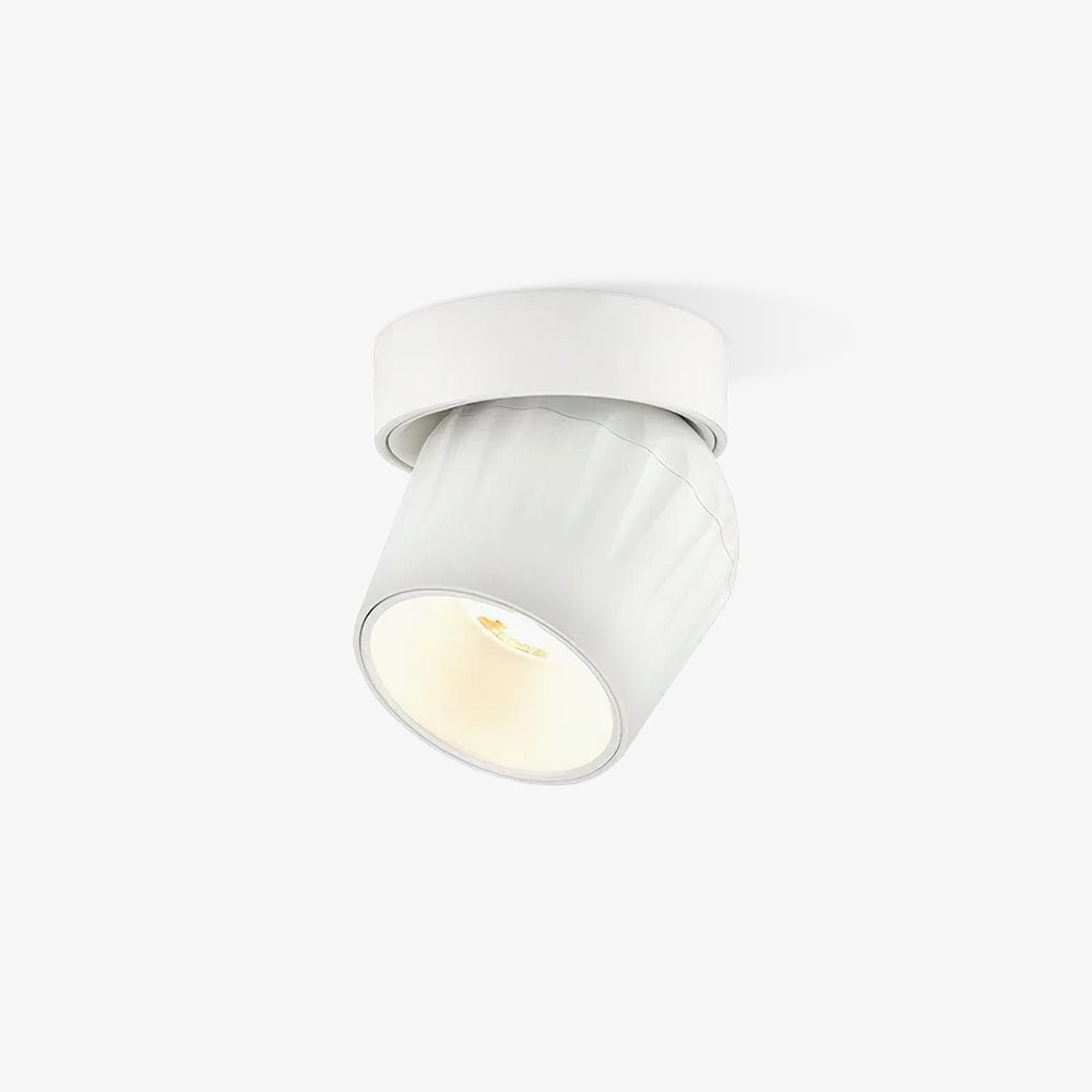 Rotatable Spotlight - view 29