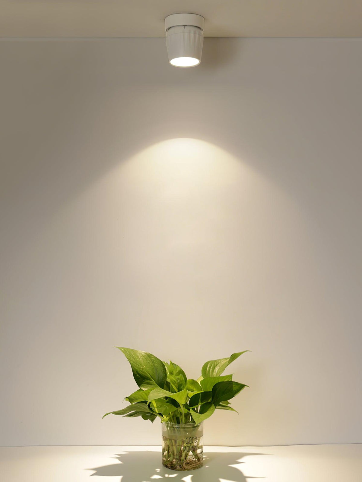 Rotatable Spotlight - view 25