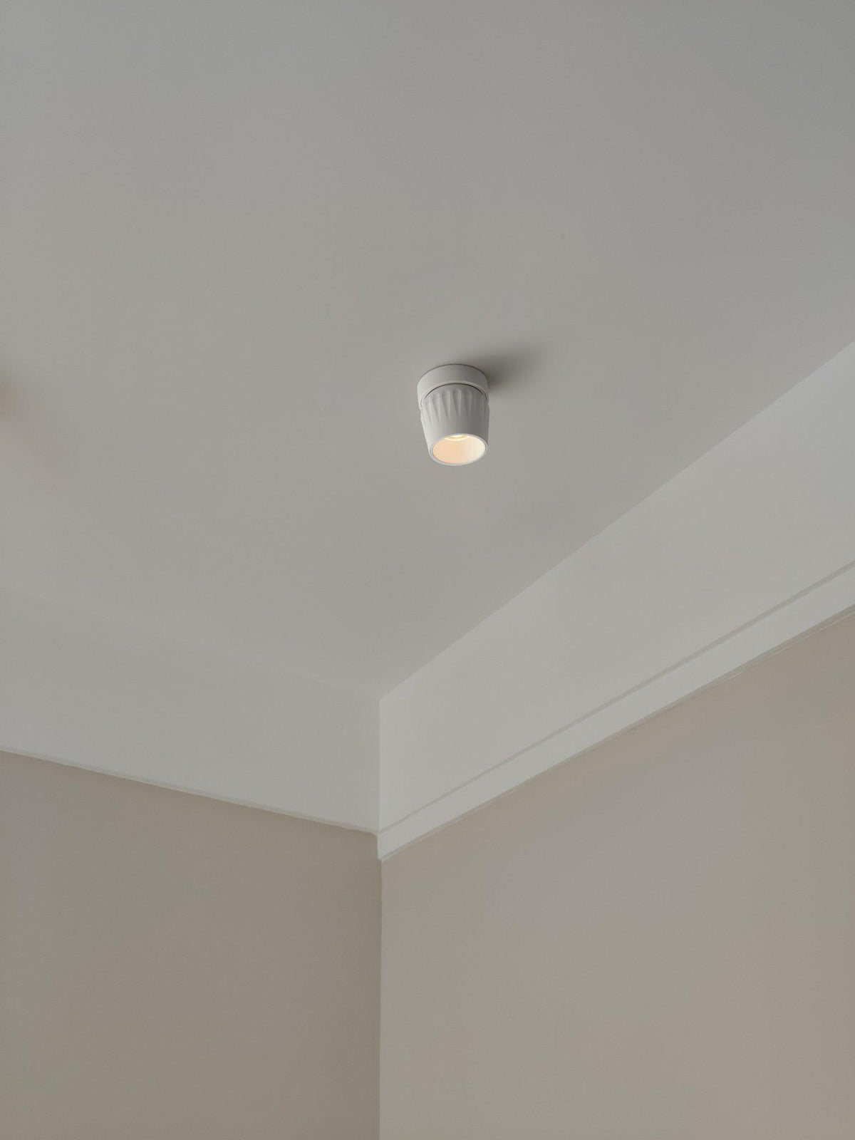 Rotatable Spotlight - view 26
