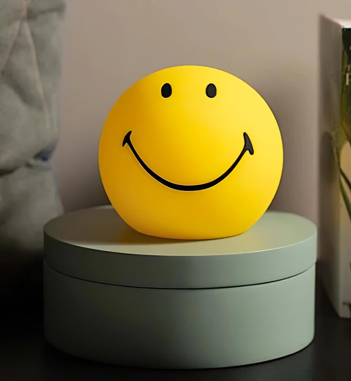 Smiling Rechargeable Built-in Battery Table Lamp - view 16