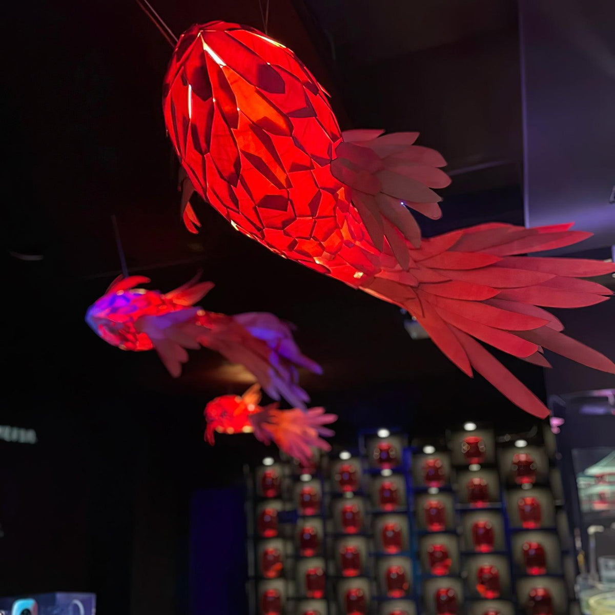 Swirl Koi Chandelier - view 8