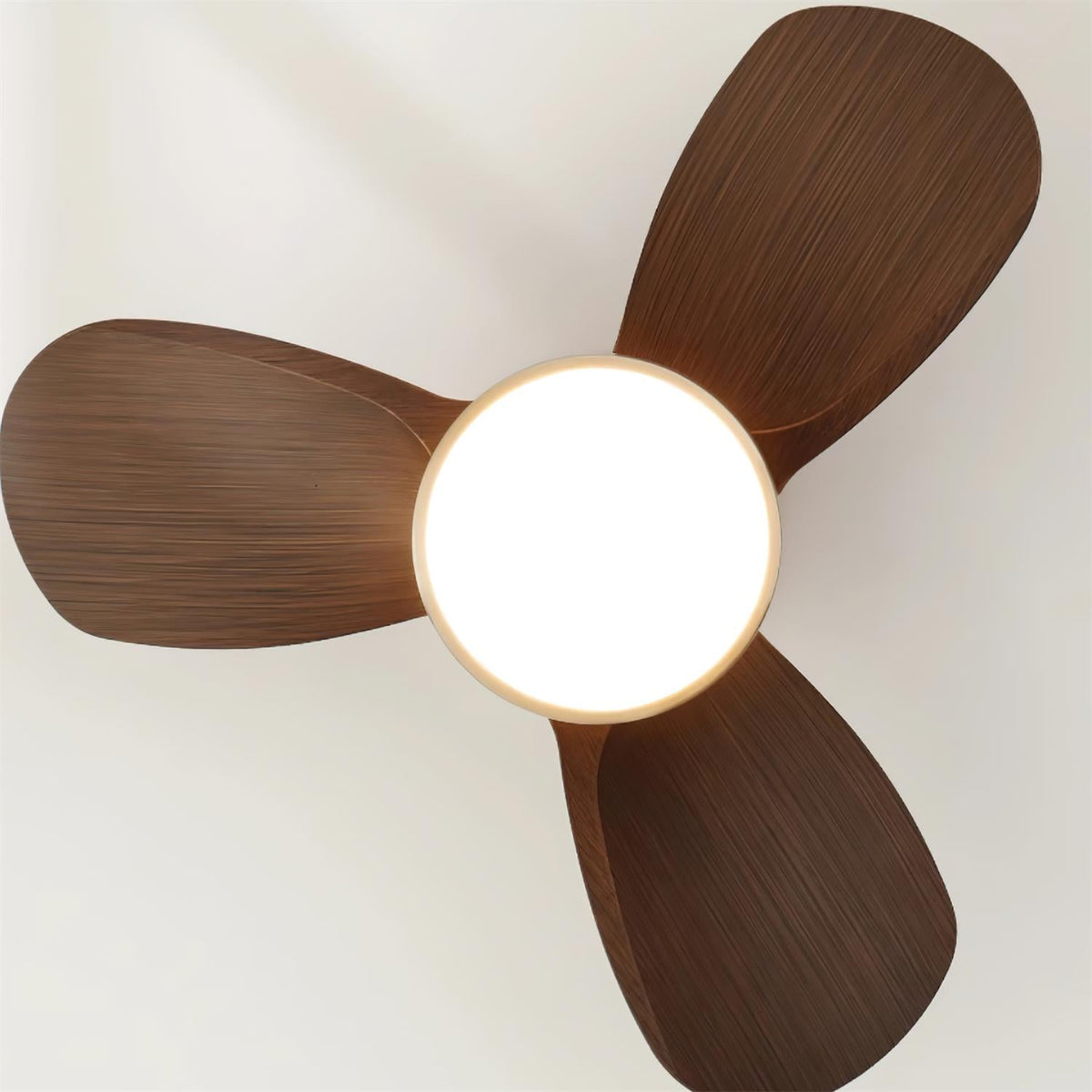 Talaya Ceiling Fan Light - view 16