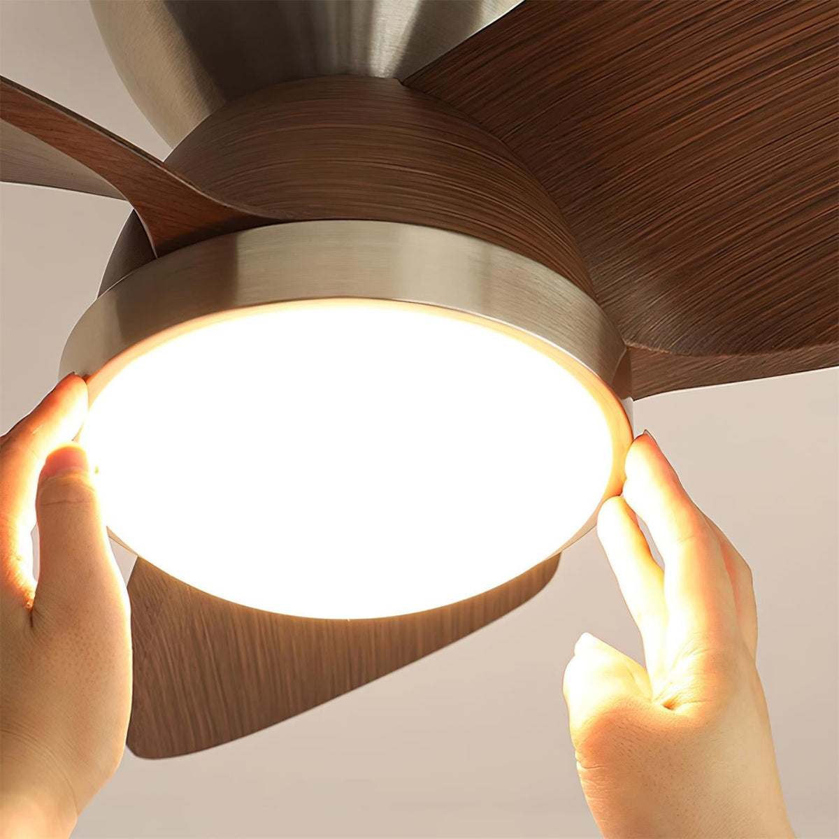Talaya Ceiling Fan Light - view 18