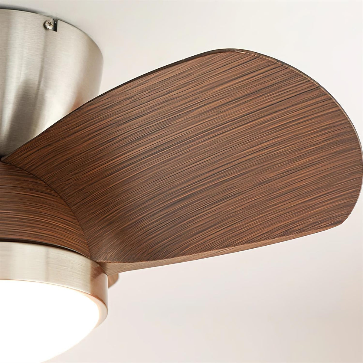 Talaya Ceiling Fan Light - view 19