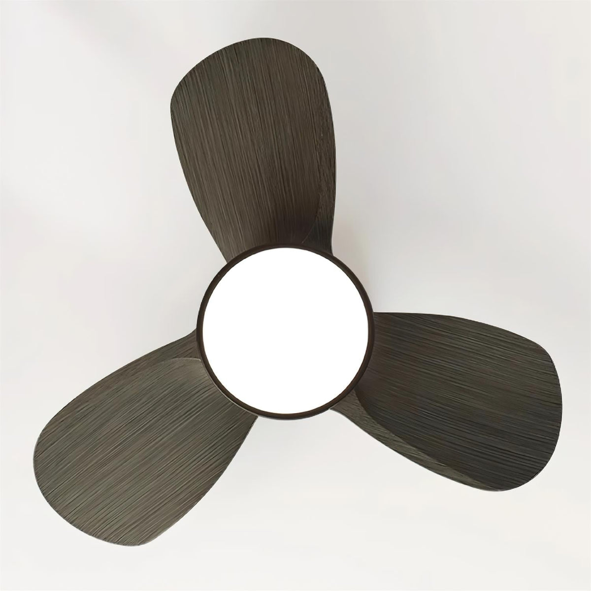 Talaya Ceiling Fan Light - view 12