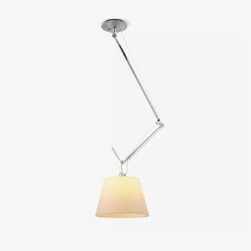 Rotatable Ceiling Pendant Light