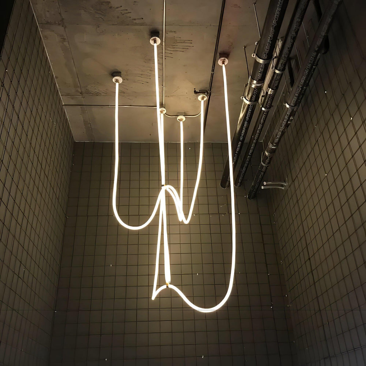 Flexible Curve Pendant Lamp