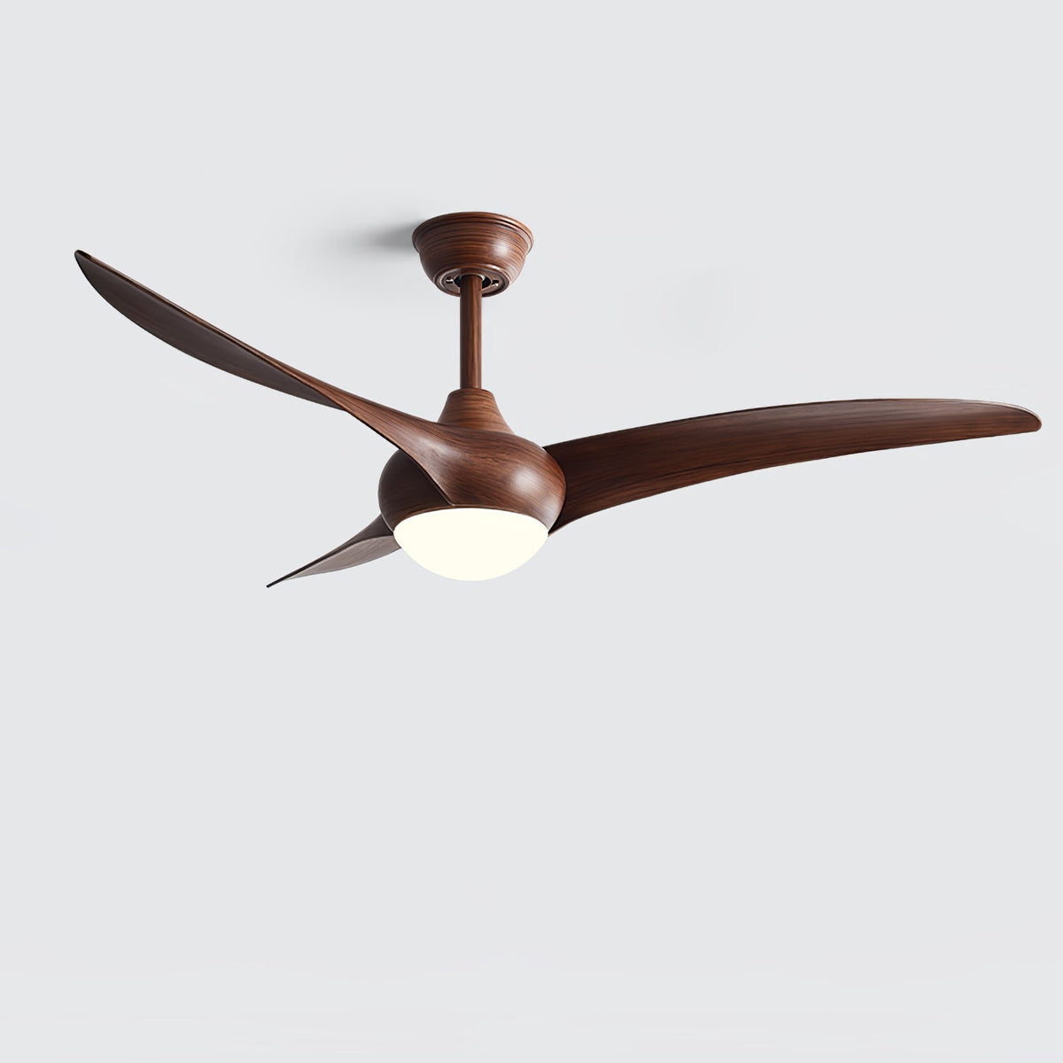 Traditional Ceiling Fan Light - view 31