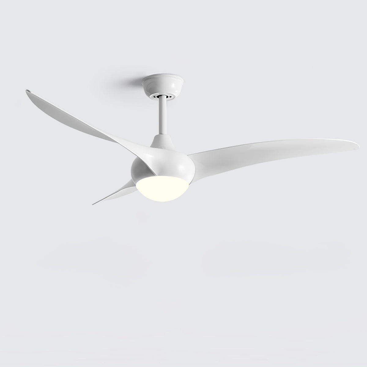 Traditional Ceiling Fan Light - view 37