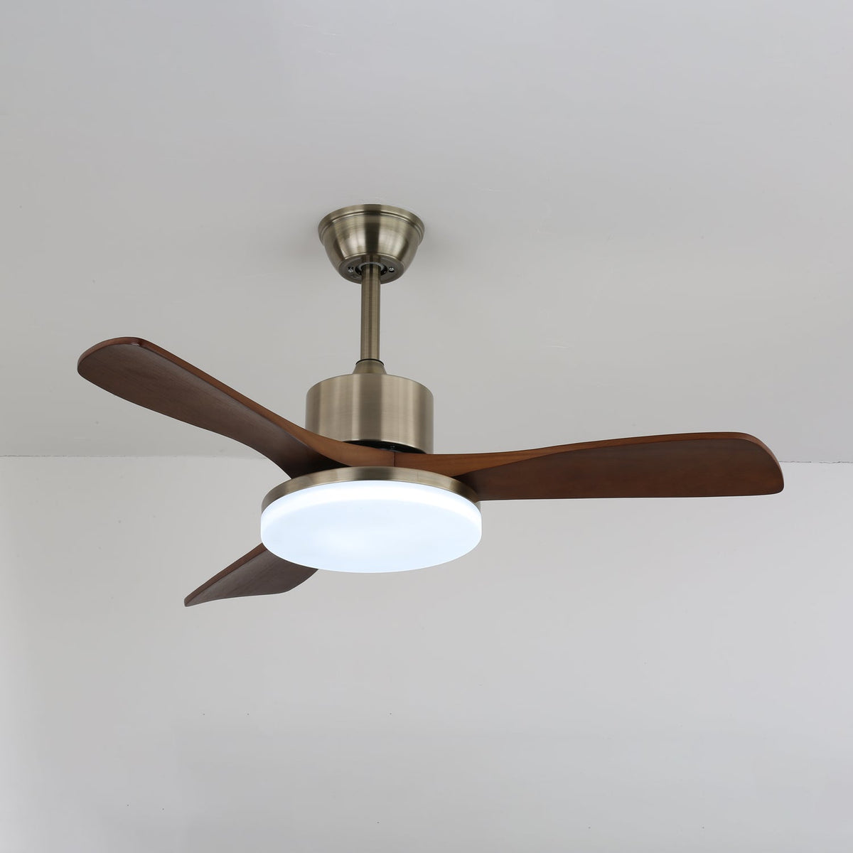 Vega Ceiling Fan Light - view 10