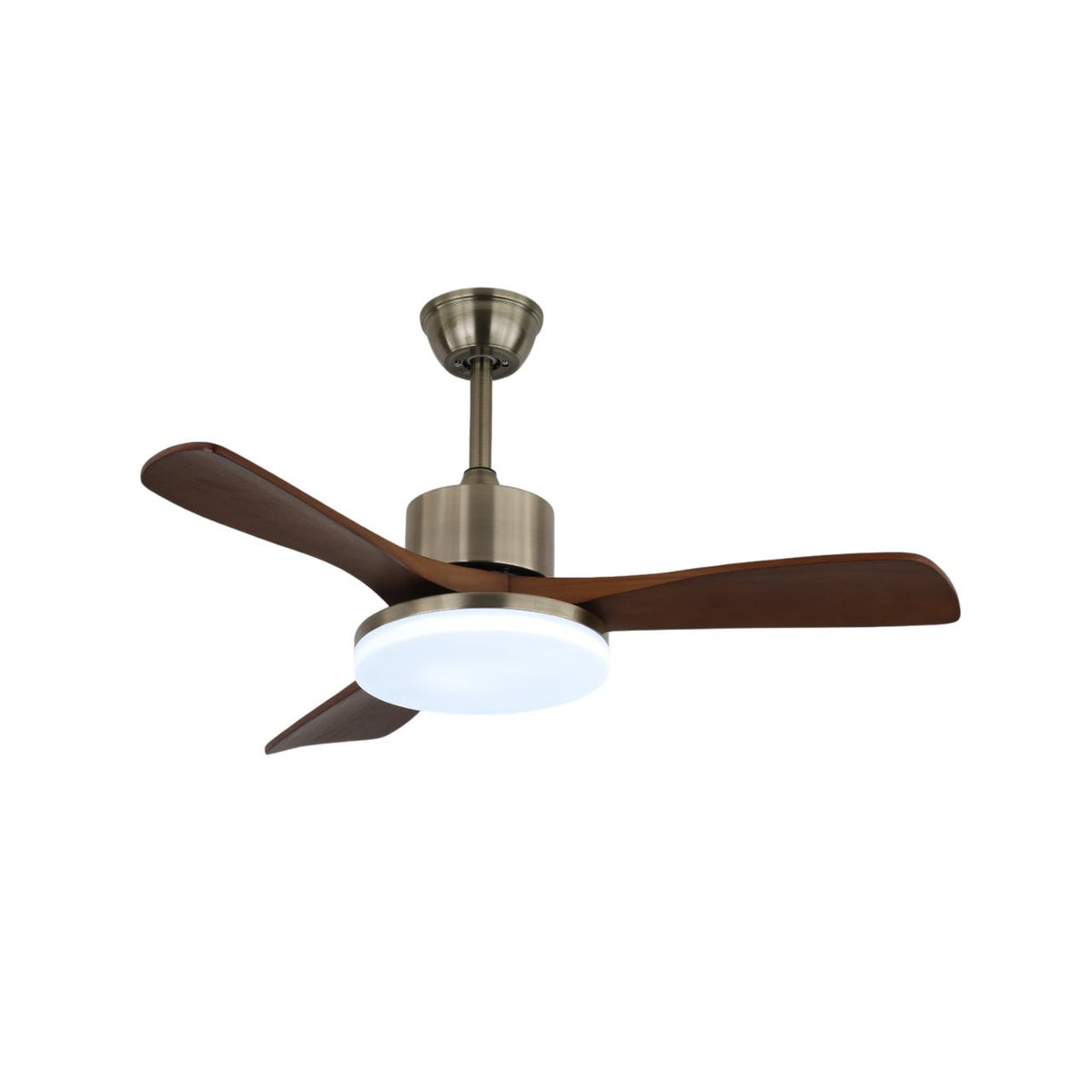 Vega Ceiling Fan Light - view 4
