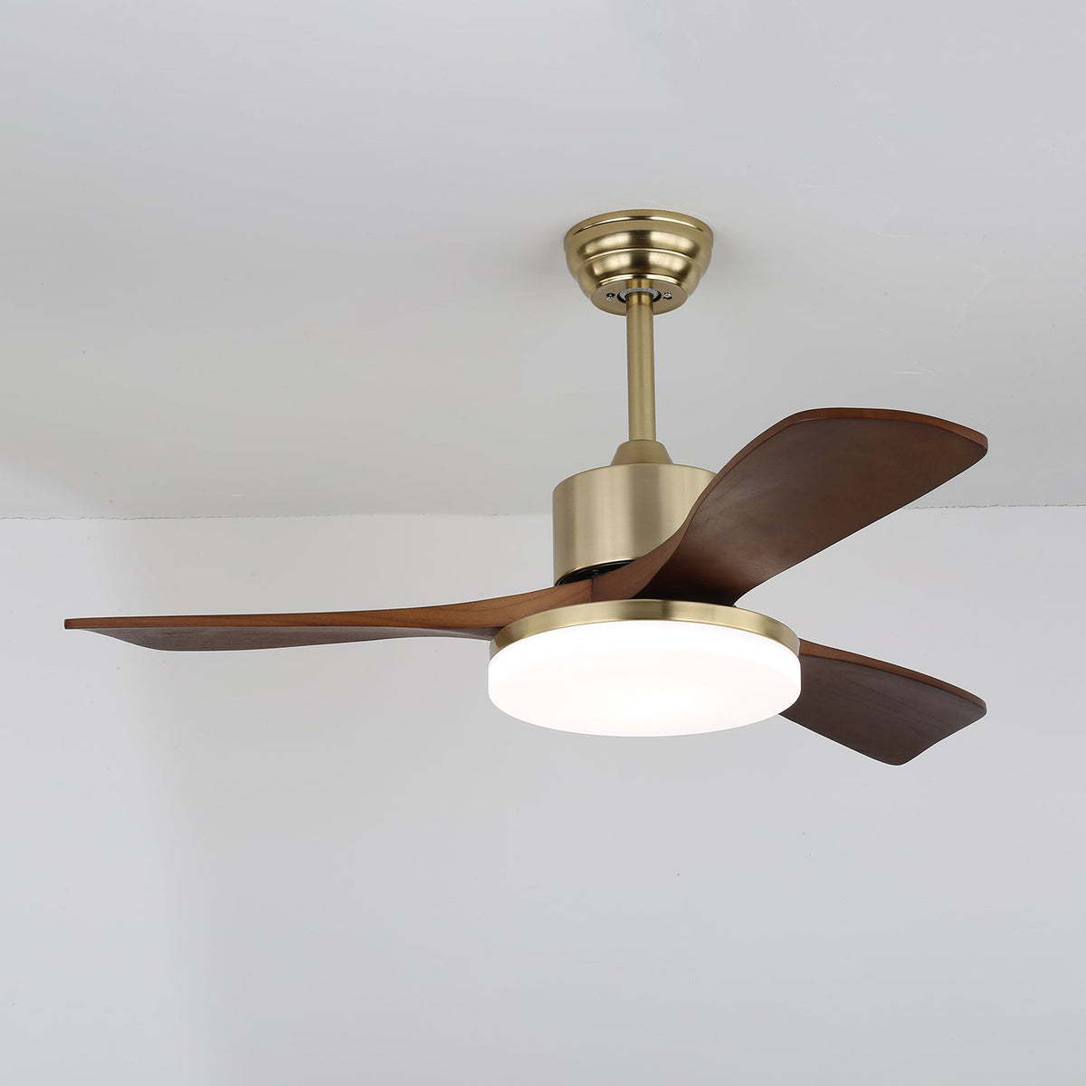 Vega Ceiling Fan Light - view 8