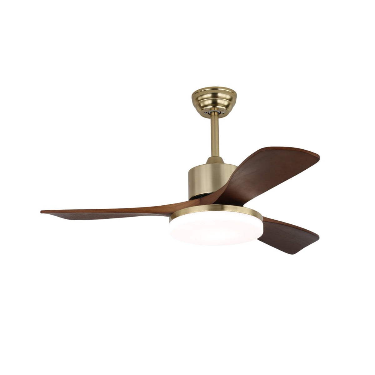 Vega Ceiling Fan Light - view 6