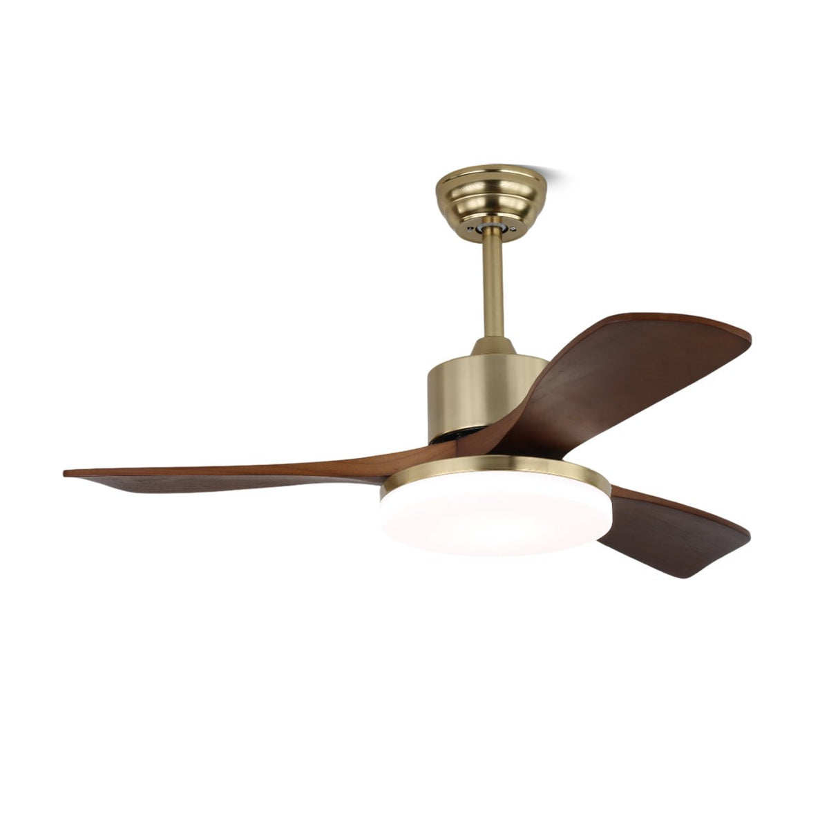 Vega Ceiling Fan Light - view 7