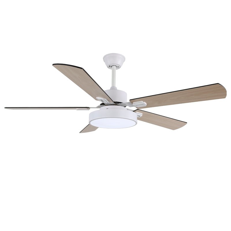 Zephyris Ceiling Fan Light